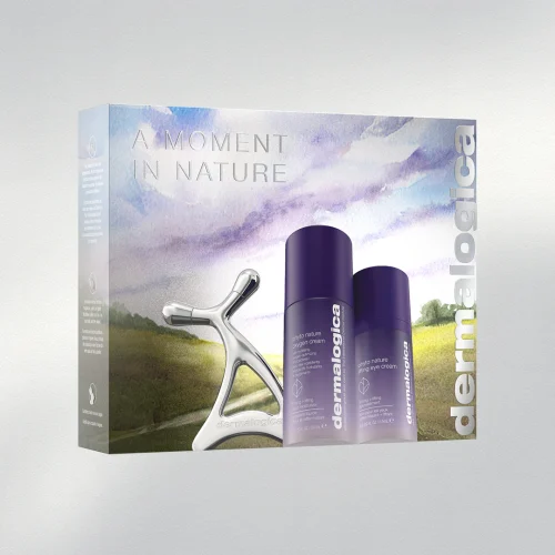 Dermalogica A Moment In Nature Kit